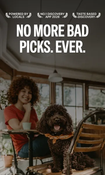 Paywall photo for the pet-friendly campaign: a woman in a cafe with her curly dog on a chair.