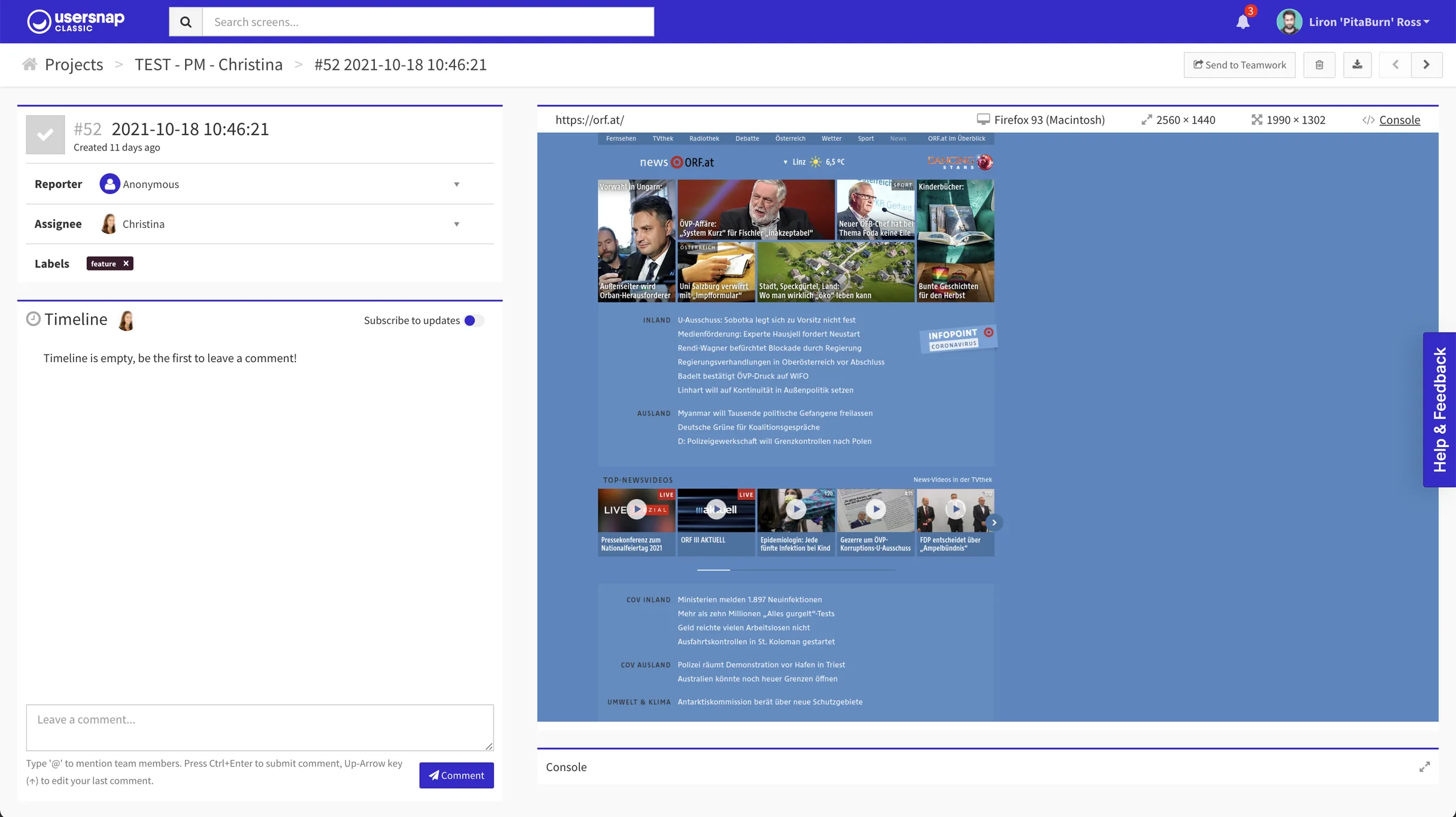 Usersnap old dashboard, item detail view